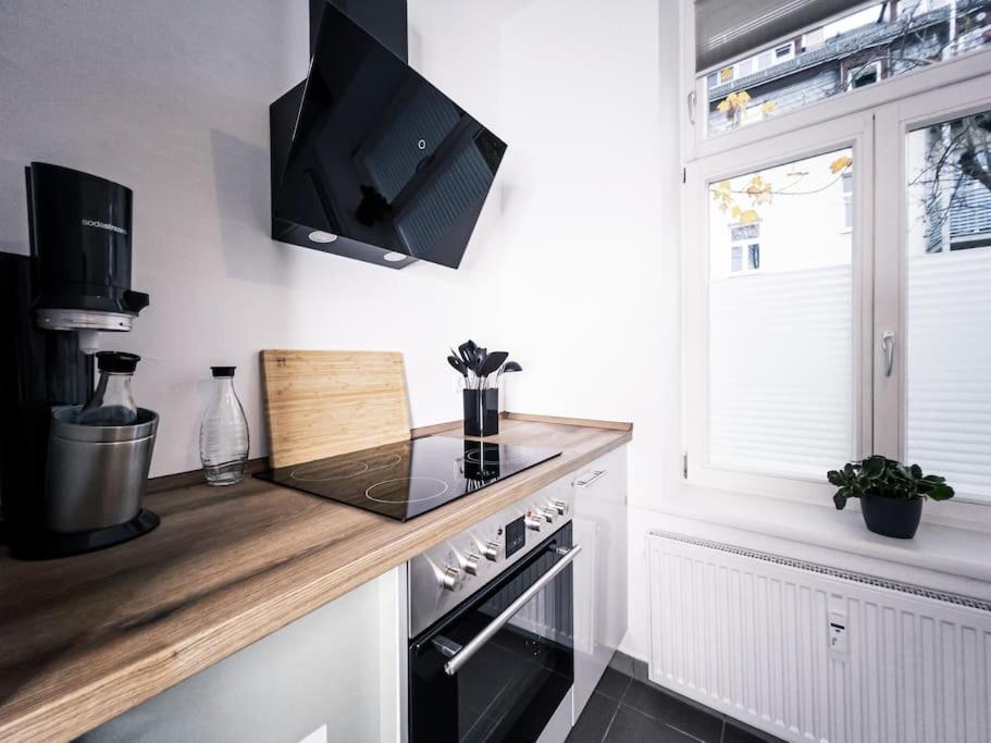 Wohlfuehl-oase Mitten In Der Stadt - Garten, Grill, Netflix Und Drucker Apartment Leipzig