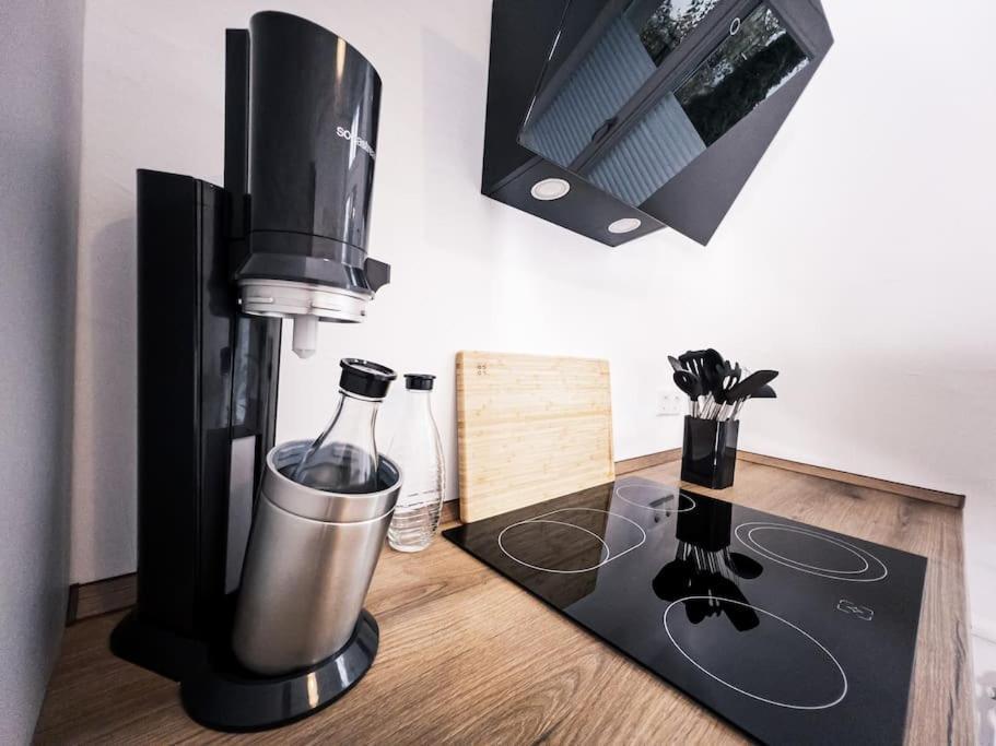 Wohlfuehl-oase Mitten In Der Stadt - Garten, Grill, Netflix Und Drucker Apartment Leipzig
